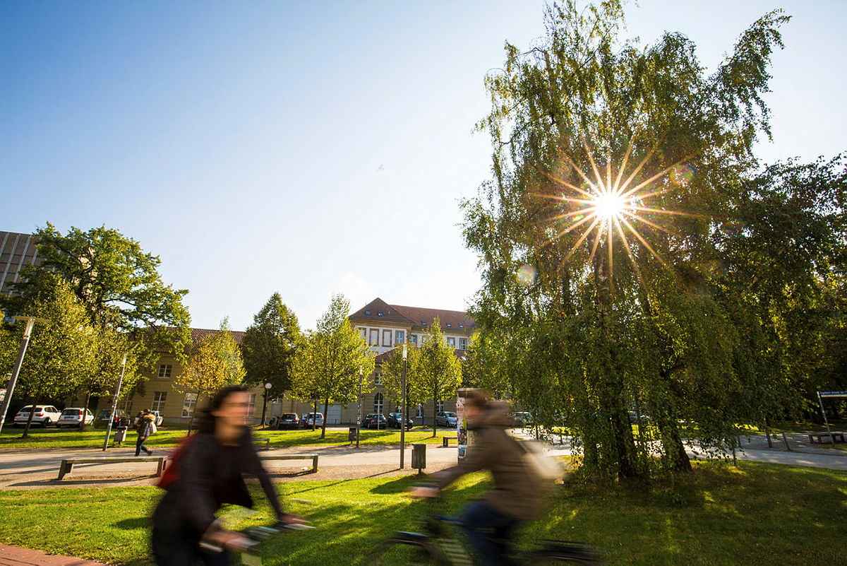 Zwei Fahrradfahrende vor einem Baum mit strahlender Sonne an einem sonnigen Tag.